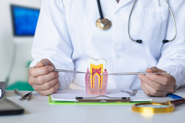 Best Emergency Dentist for Knocked-Out Tooth in Raubsville, PA